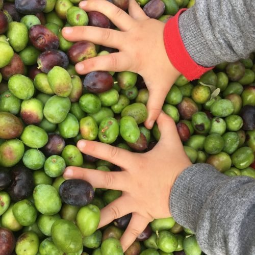 El día a día en la Masía Can Samon