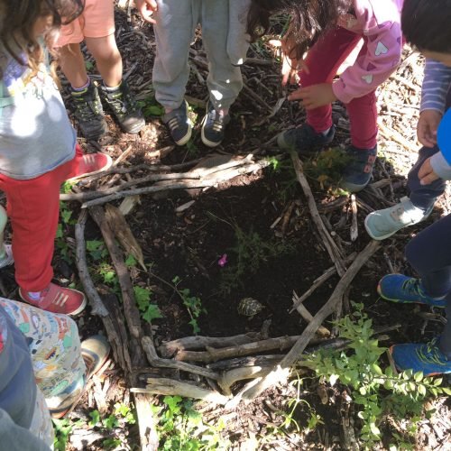 Un tesoro en el bosque